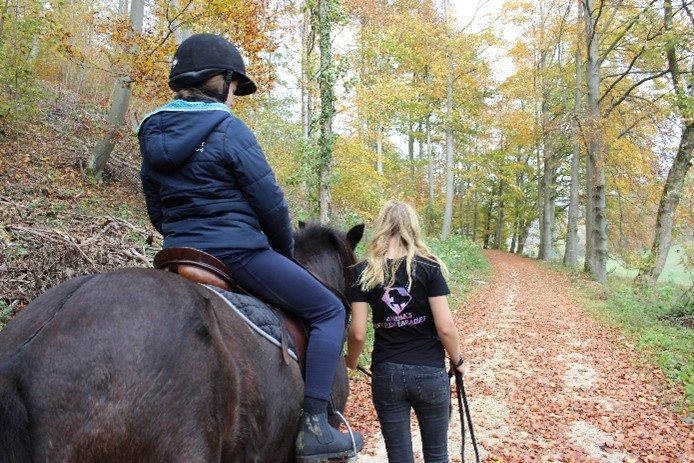 Geführter Ausritt mit einem Kind im Herbstwald